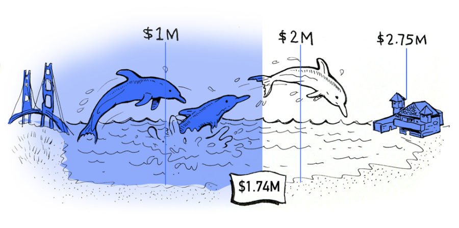 Dolphin Club fundraising graphic