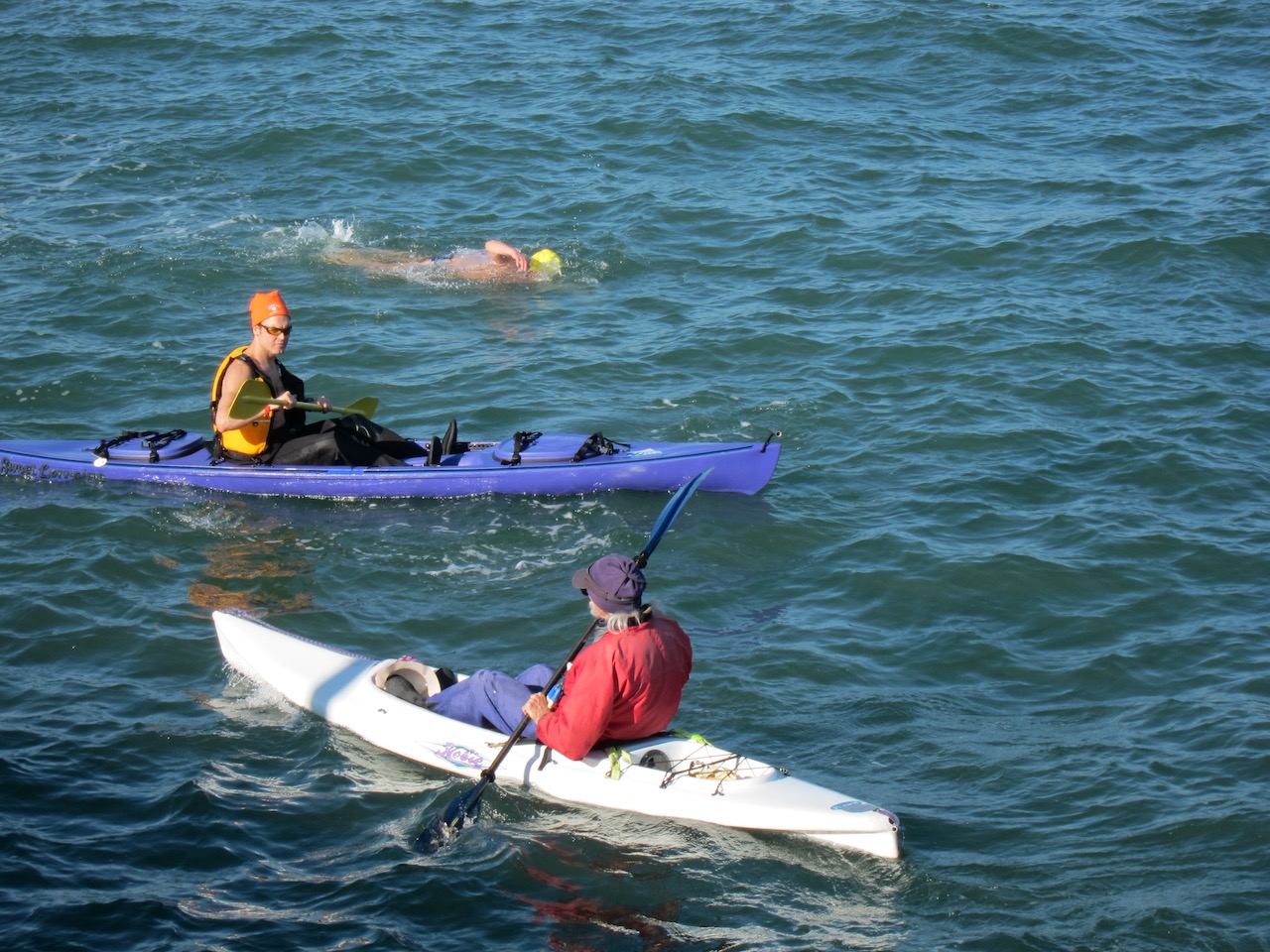 Dolphin Swimming and Boating Club
